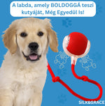 Varázsgolyó Pro™: A boldog kutya titka még távollétemben is