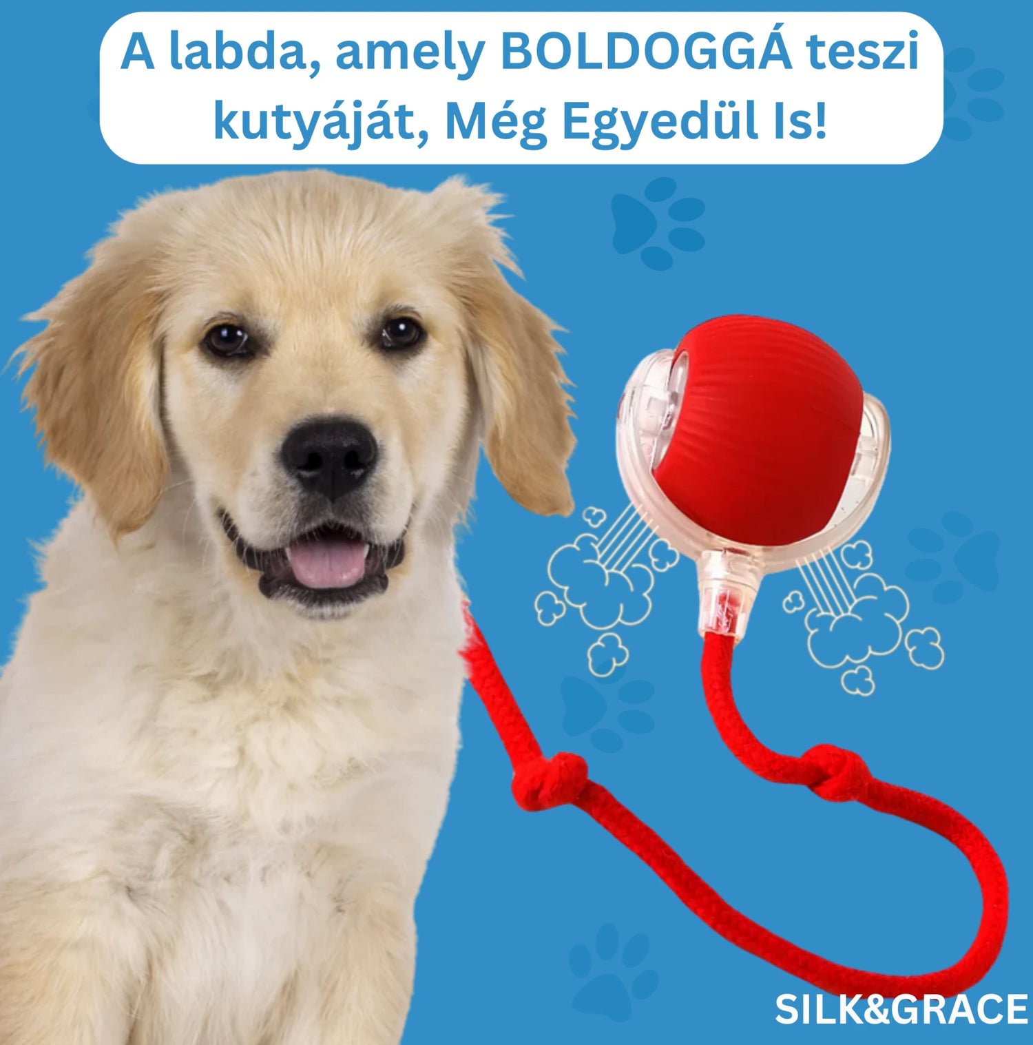Varázsgolyó Pro™: A boldog kutya titka még távollétemben is
